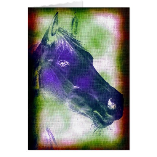 Equine 3 cards (Front)