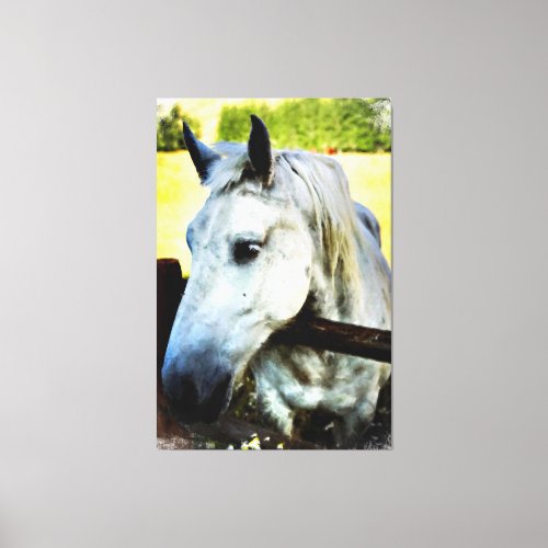  Equine AR22 White Horse over Fence  Canvas Print