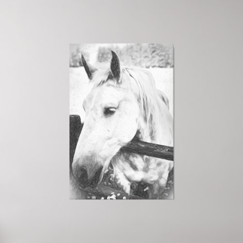  Equine AR22  White Horse over Wood Fence Canvas Print