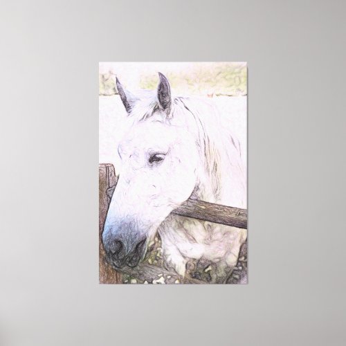  Equine AR22 White Horse over Wood Fence   Canvas Print