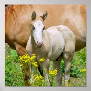 Equine Art Poster Print by HorseStall at Zazzle