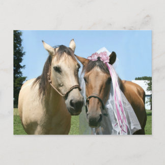 Equine bride and groom postcard