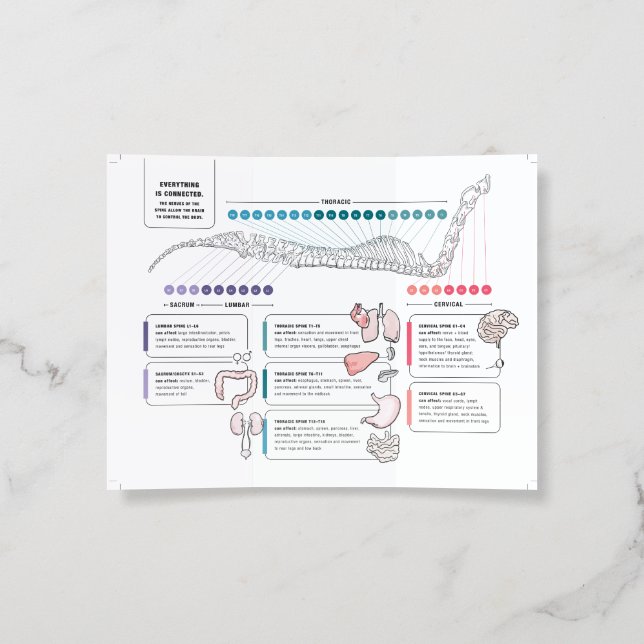 Equine brochure (Inside)