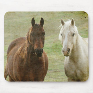 Equine Buddies Mouse Pad