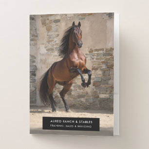 Equine Business Horse Sales Stable Training Photo Pocket Folder