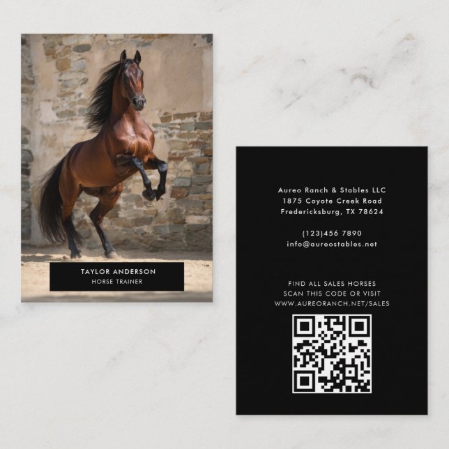 Equine Business Horse Trainer Equestrian Photo Card (Front/Back)