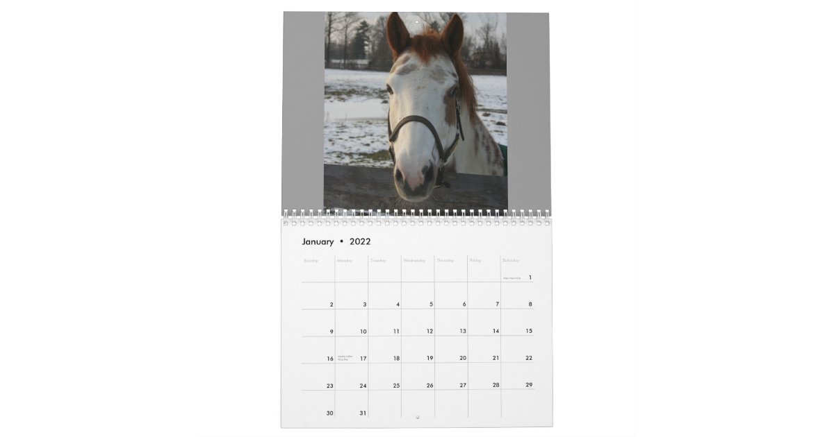 Equine Calendar