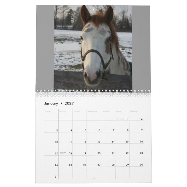 Equine Calendar (Jan 2027)