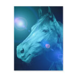 Equine Designs Postcard