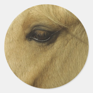 Equine Eye Classic Round Sticker