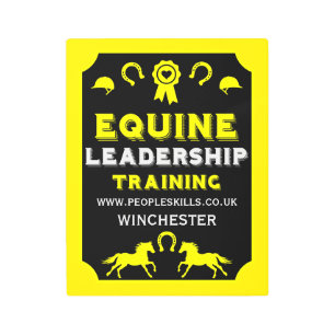 Equine leadership Training Metal Print