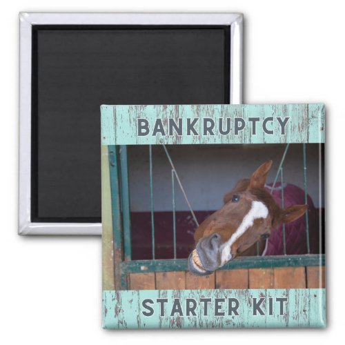 Equine Love Bankruptcy Starter Kit Magnet