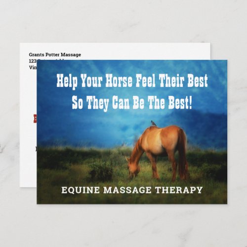 Equine Massage Therapist Horse Business Mailer Postcard