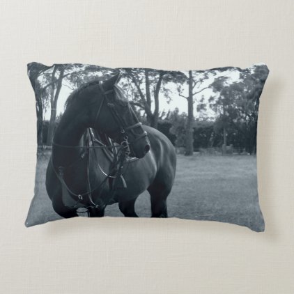 Equine moments accent pillow
