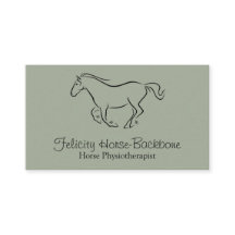 Equine physiotherapist