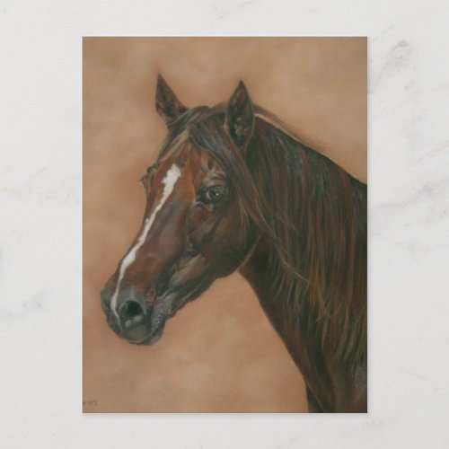 equine picture of chestnut mare brown horse postcard