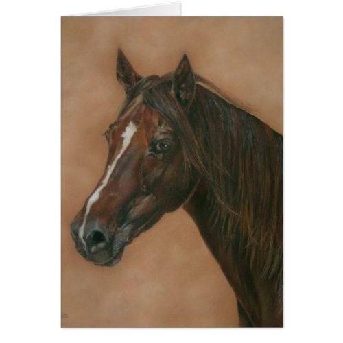 equine portrait of chestnut mare brown horse