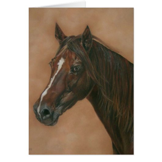 equine portrait of chestnut mare brown horse (Front)