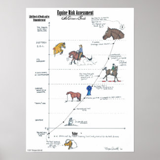 Equine Risk Assessment LARGE Poster