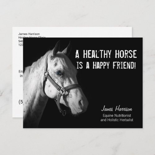 Equine Specialist for Horse Business Clients Postc Postcard