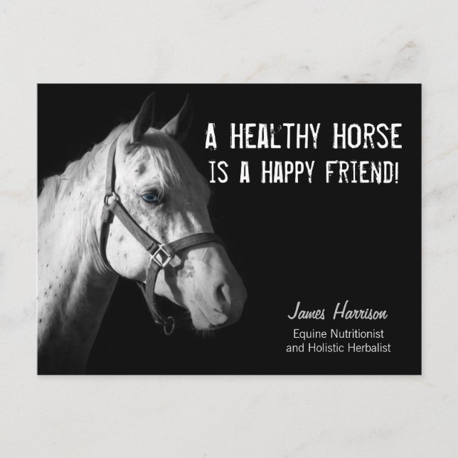 Equine Specialist for Horse Business Clients Postc Postcard (Front)