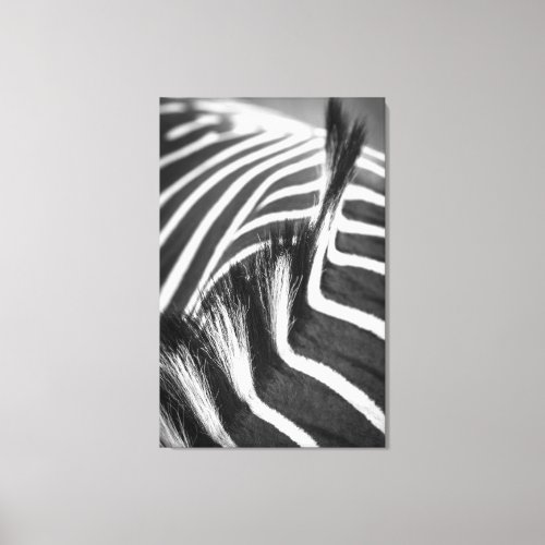 Equine Stripes Photograph Canvas Print