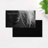 Equine Up Close (Desk)