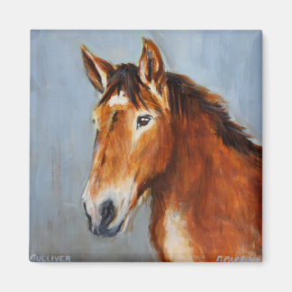 Equine Voices Gulliver Magnet