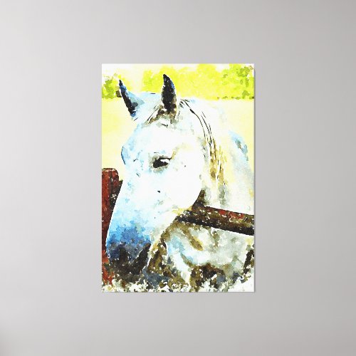  Equine White Horse over Wood Fence AR22 Canvas Print