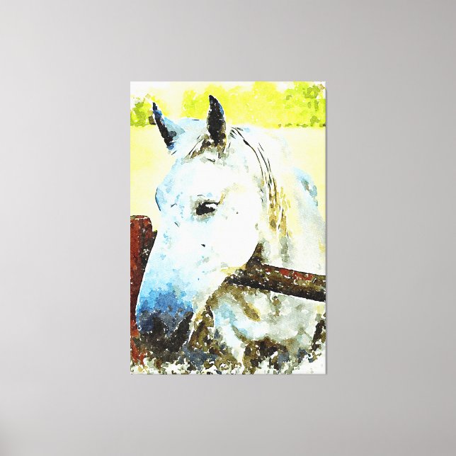 *~* Equine White Horse over Wood Fence AR22 Canvas Print (Front)