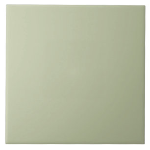 ER Sage Green bfc6a3 FN Ceramic Tile