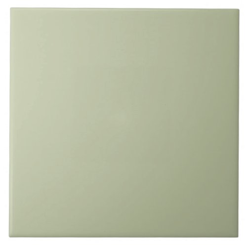 ER Sage Green bfc6a3 FN Ceramic Tile