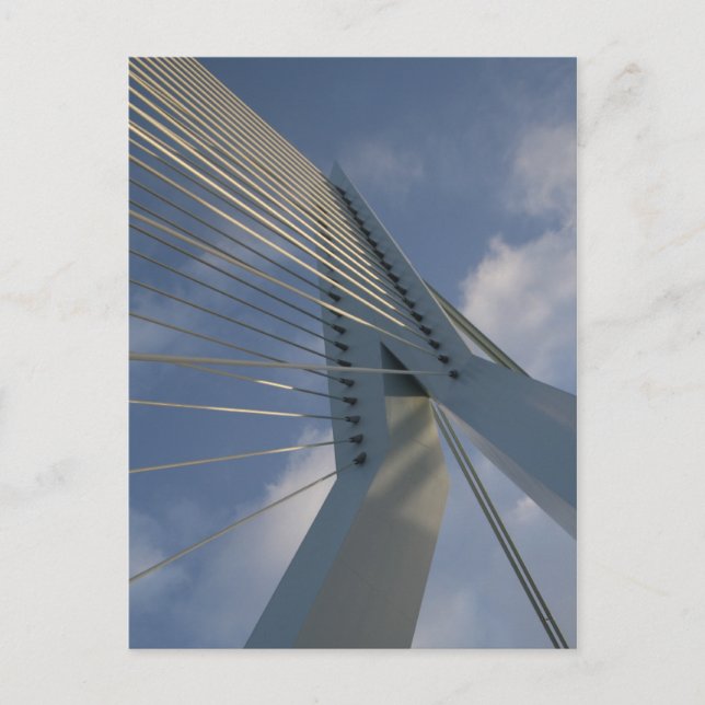Erasmus Bridge, Rotterdam Postcard (Front)