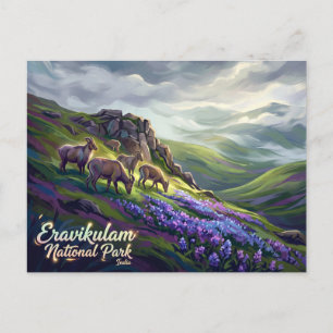 Eravikulam National Park India Postcard