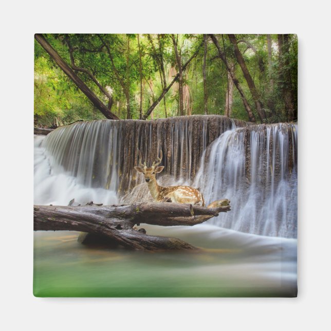 Erawan Waterfall with Deer Relaxing   Magnet (Front)