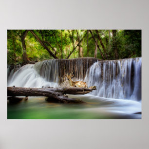 Erawan Waterfall with Deer Relaxing Poster