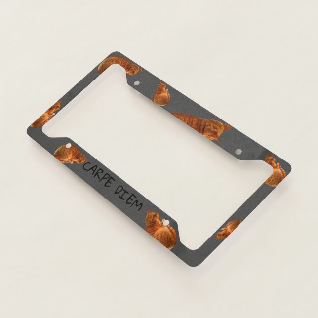 ERBAO CAT - CARPE DIEM LICENSE PLATE FRAME (3/4)