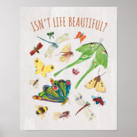 Eric Carle | Isn’t Life Beautiful
