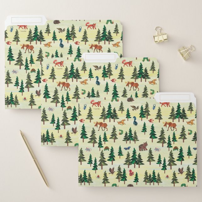 Eric Carle | Ready for Forest Fun Pattern File Folder (Set)