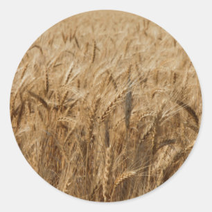 Erick, Oklahoma Route 66 Classic Round Sticker