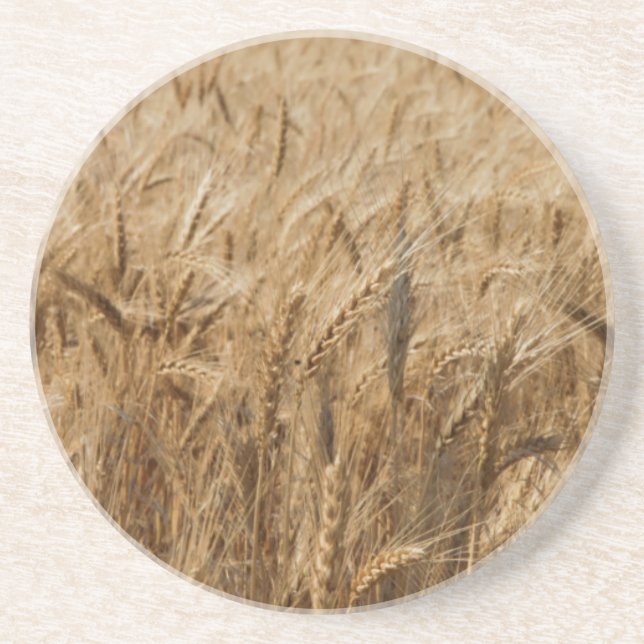 Erick, Oklahoma Route 66 Sandstone Coaster (Front)