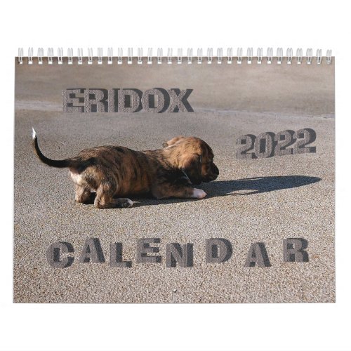Eridox Dachshunds 2022 Calendar