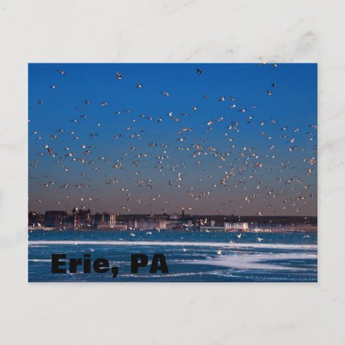Erie PA skyline Postcard