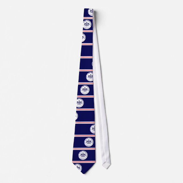 Erie, Pennsylvania, United States Neck Tie (Front)