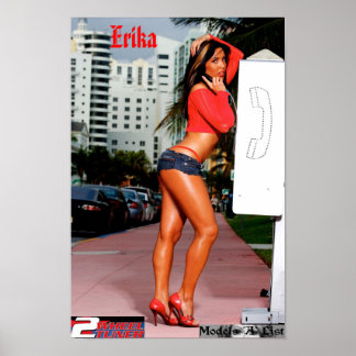 Erika - 2Wheel Tuner Finalist Poster