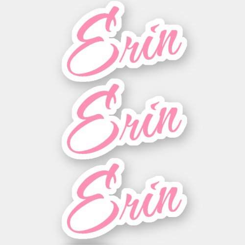 Erin Decorative Name in Pink x3 Sticker