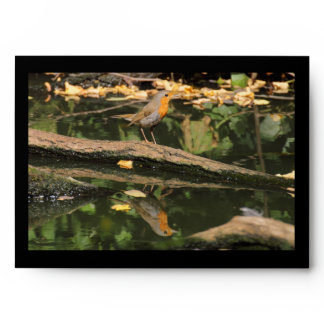 Erithacus rubecula envelope
