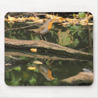 Erithacus rubecula mouse pad