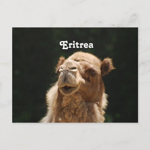 Eritrea Postcard