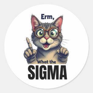 Erm What The Sigma Funny Cat Lovers Classic Round Sticker